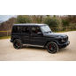 Silencieux arrière duplex en inox Mercedes Classe G (W463) 2018 G63 AMG 4.0 V8 (430kW) 07/2020 - Aujourd'hui