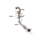 Tube remplacement Catalyseur + tube  remplacement FAP en inox FORD C-MAX PHASE (2) 1.6TDCI (85KW) 10/2010 - 2015