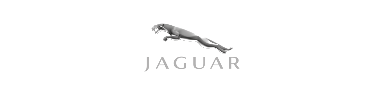 Échappement Ragazzon pour Jaguar – Inox Sport Haut de Gamme