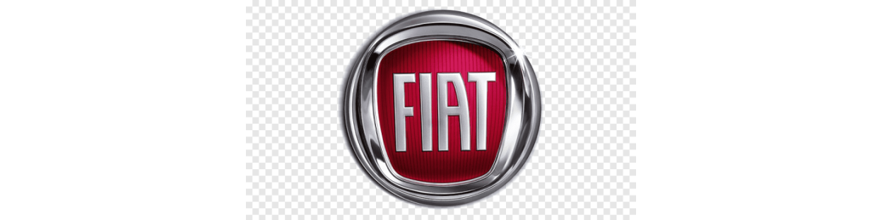 Échappement Ragazzon pour Fiat – Sport et Performance